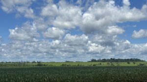 O que muda para você produtor com a saída da ABIOVE da moratória da soja