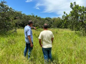 APF vencida: o risco invisível que pode travar sua fazenda em 2026